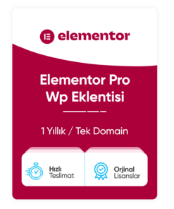 Elementor Pro Eklentisi