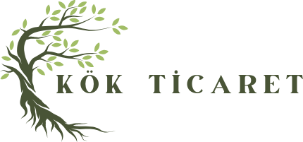 Kök Kumascilik
